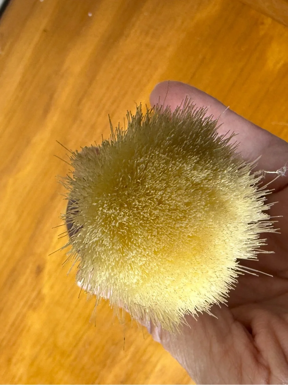 Vintage Stag Shaving Brush